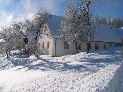 Im Langschläger Wald, © IMAGNO/Gerhard Trumler