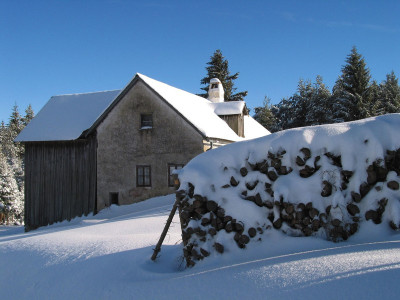 Im Langschläger Wald, © IMAGNO/Gerhard Trumler