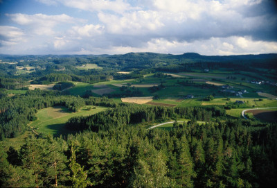 Blick über den Freiwald, © IMAGNO/Gerhard Trumler