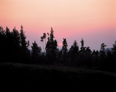 Abenddämmerung mit Baumshilhouetten, © IMAGNO/Gerhard Trumler