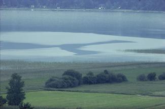 Der Wallersee