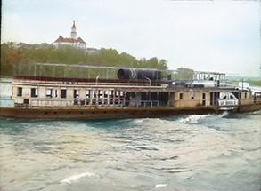 Schloss Wallsee