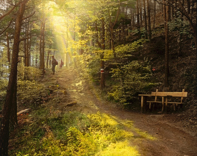 Auf dem Weg in den Wald, © IMAGNO/Öst. Volkshochschularchiv