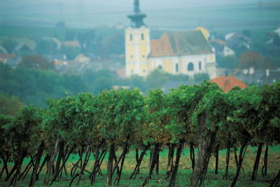 Weinbau, © IMAGNO/Gerhard Trumler