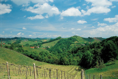 Südsteirische Weinstraße, © IMAGNO/Gerhard Trumler