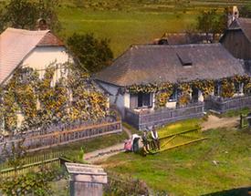 Winzerhäuser im Weinviertel