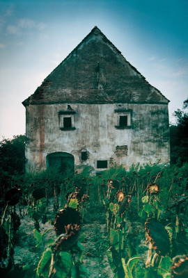 Presshaus im Weinviertel, © IMAGNO/Franz Hubmann