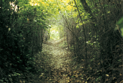 Weinviertel, © IMAGNO/Franz Hubmann