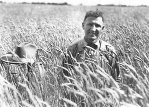 Farmer in Kornfeld