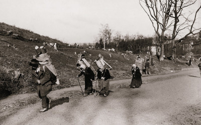 Holzsammler im Wienerwald, © IMAGNO/Austrian Archives