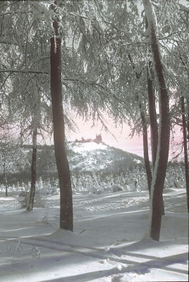 Winter im Wienerwald, © IMAGNO/Öst. Volkshochschularchiv