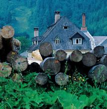 Schindelgedecktes Hammerherrenhaus