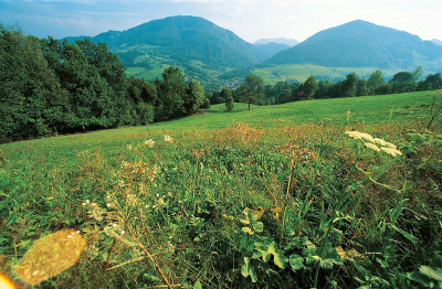 Am Weg zum Prochenberg, © IMAGNO/Gerhard Trumler