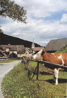 Landschaft - Ortsansicht 2