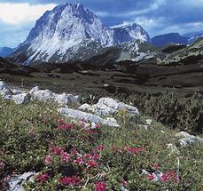 Landschaft Wasserboden mit Brandstein