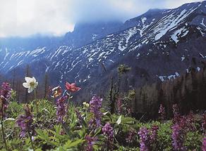 Blick von der Lamingalm in Richtung Trenchtling - Hochturm