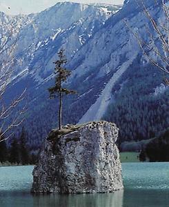 'Jassingsee', nur sehr selten bildet sich an dieser Stelle ein See.