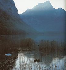 Wassermann im Leopoldsteiner See