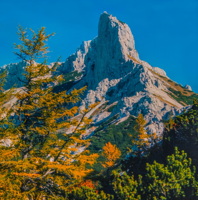 Festelbeilstein – Buchberg