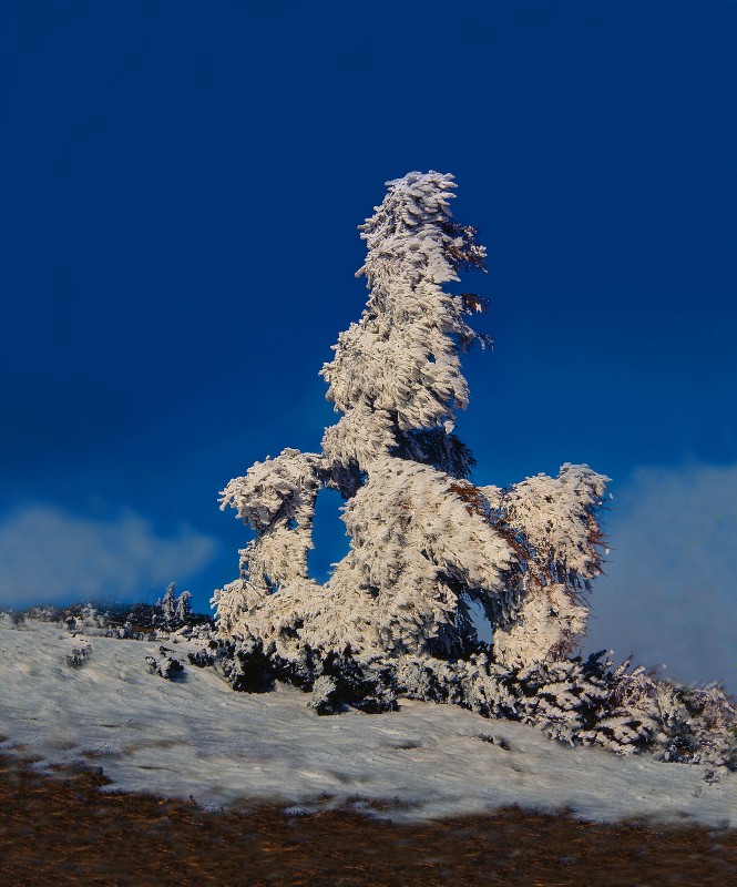 Verkleideter Baum