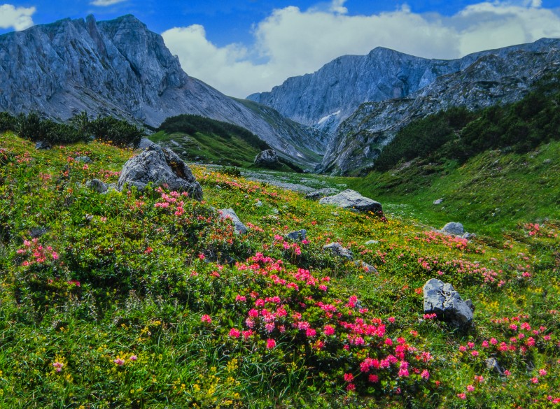 Hochschwab-Südwand