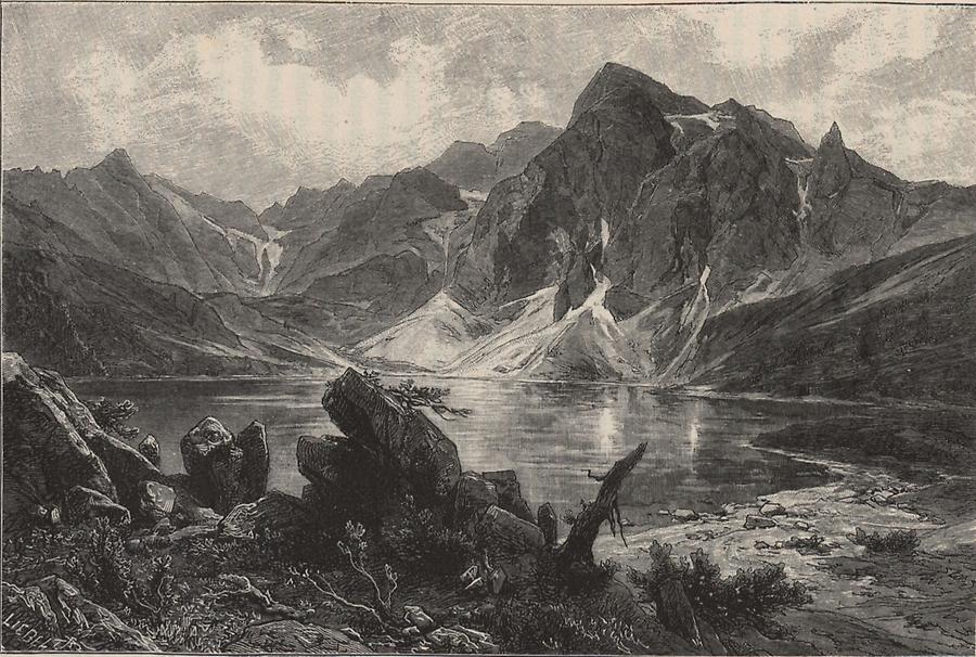 Illustration Großer Fischsee