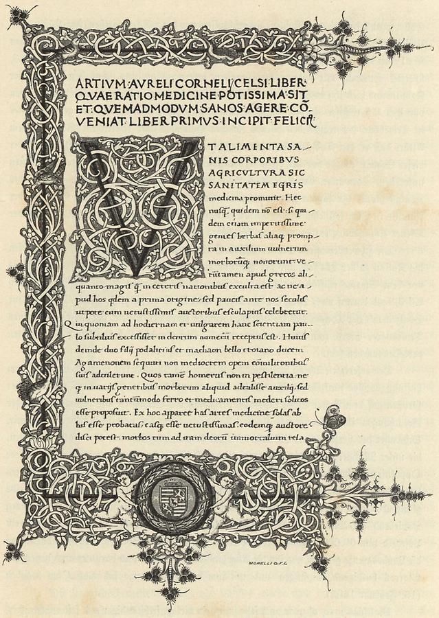 Illustration Handschrift der Corvina (2)