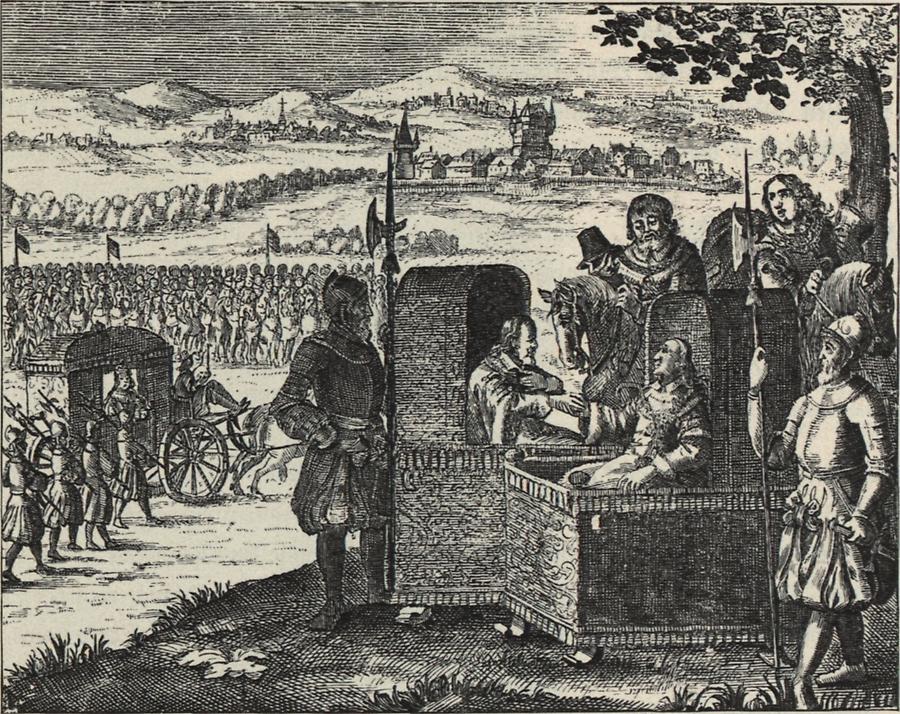 Wladislaw II. (1) Band 5 Kronprinzenwerk Bilder im AustriaForum