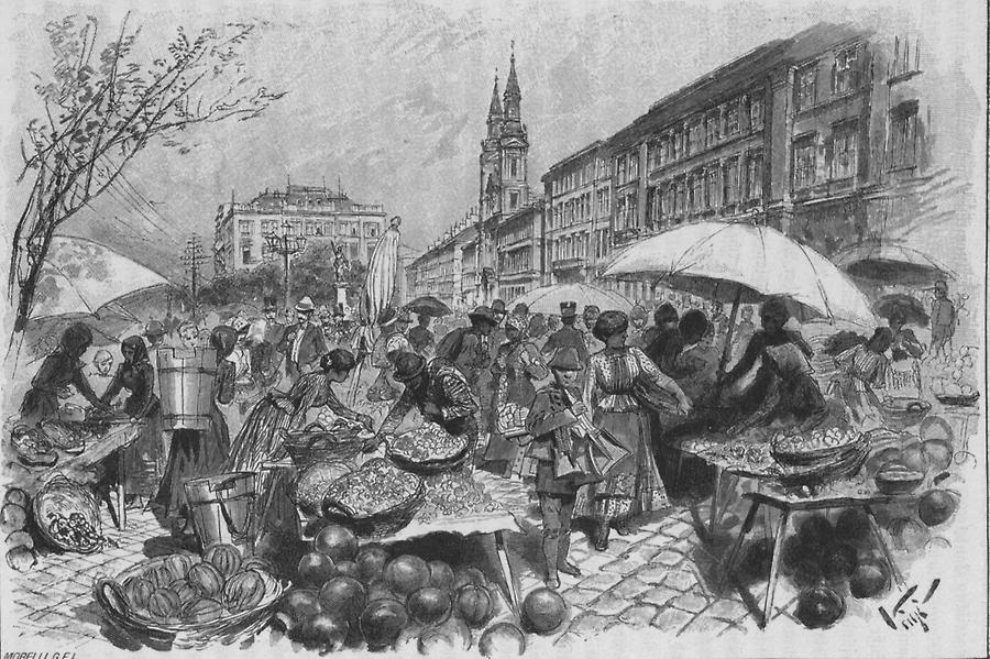 Illustration Obst- und Melonenmarkt