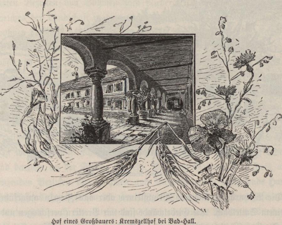 Illustration Hof eines Großbauern