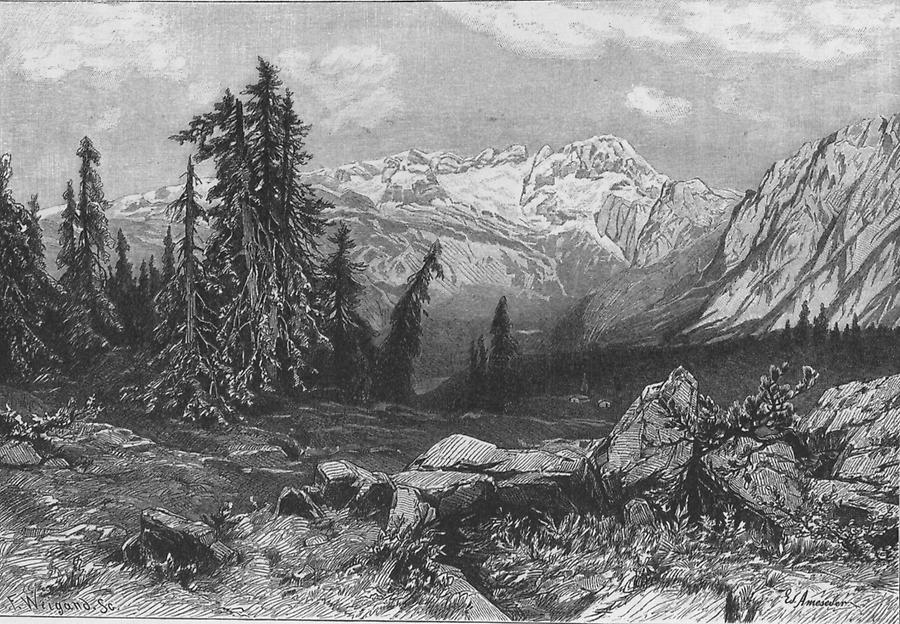 Illustration Aussicht von Zwieselalpe