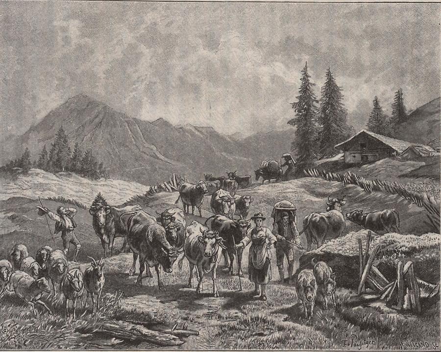 Illustration Heimkehr von der Alm