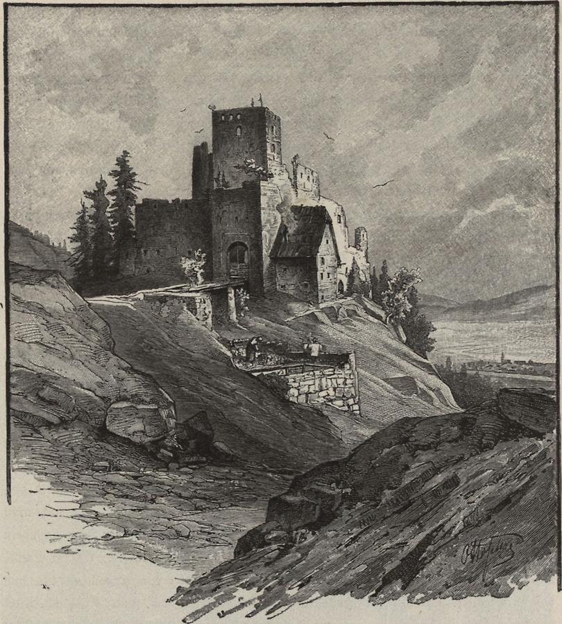 Illustration Ruine Lichtenegg