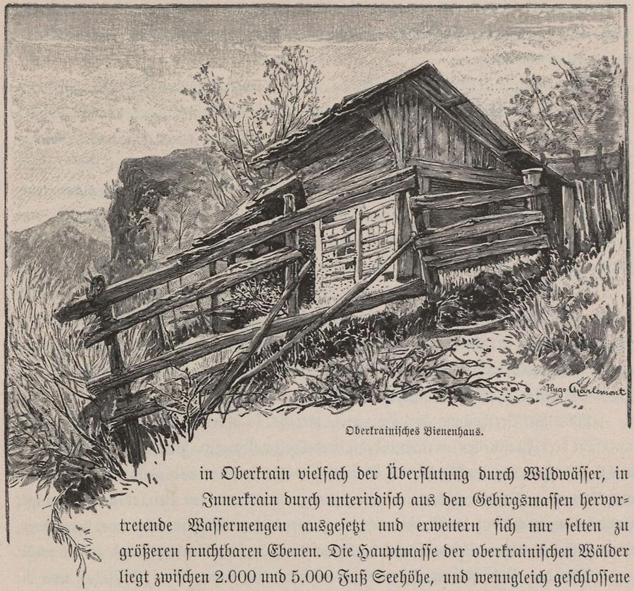Illustration Oberkrainisches Bienenhaus