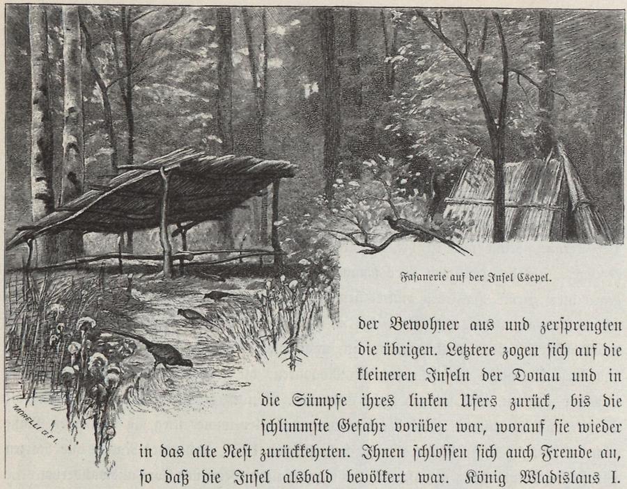 Illustration Fasanerie auf Csepel