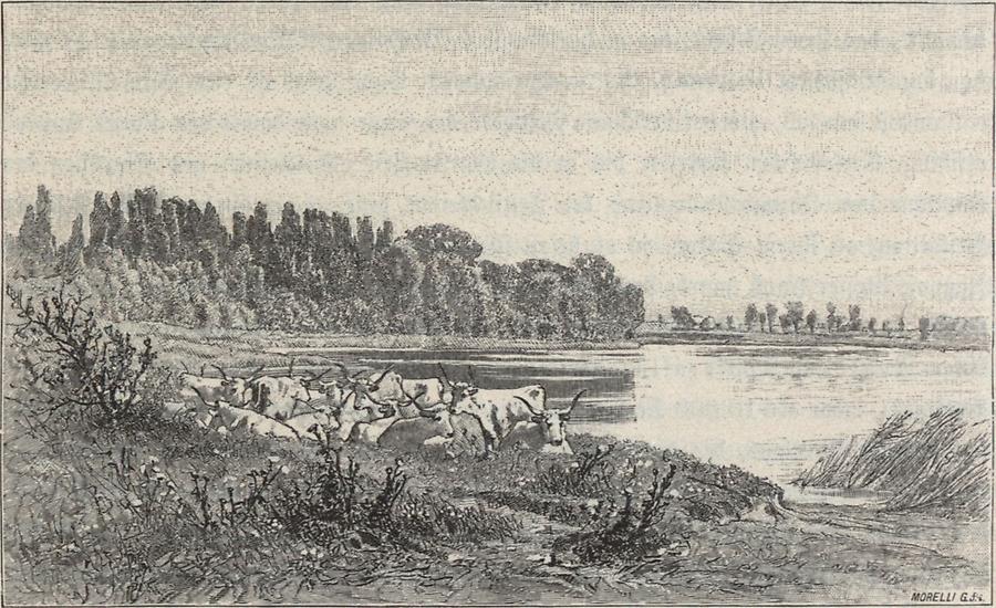 Illustration Salzsee bei Halas