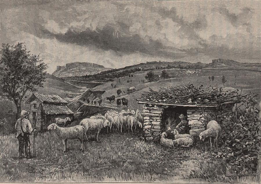 Illustration Schaflerhütten am Monte Baldo