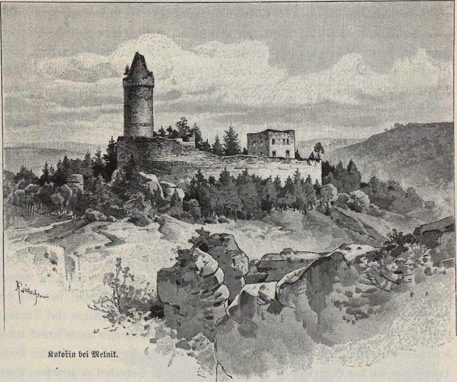 Illustration Kokorin bei Melnik