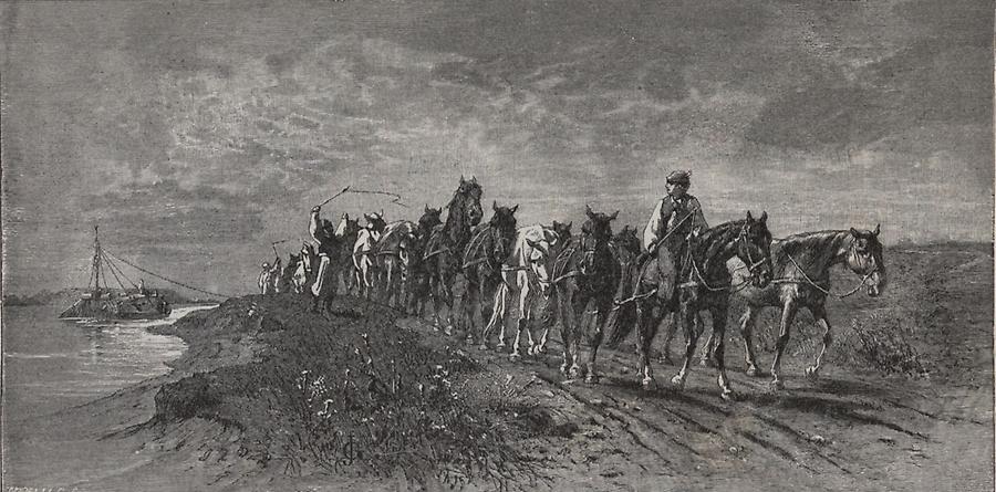 Illustration Schiffszug mit Pferden