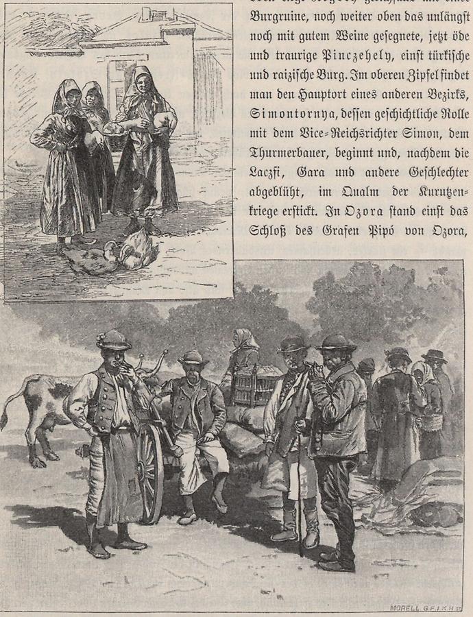 Illustration Tolnaer Deutsche