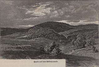 Bakonyerwald