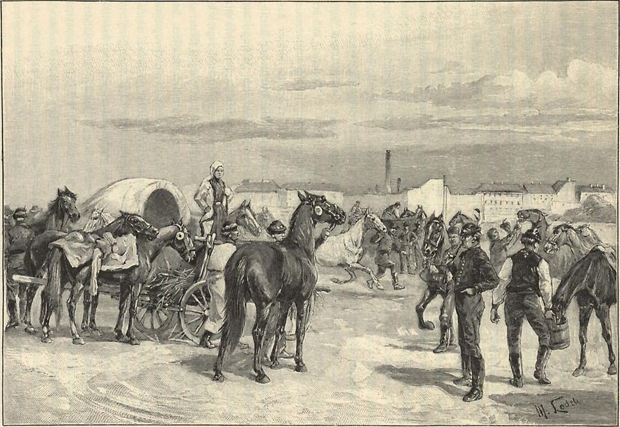 Illustration Pferdemarkt bei Brünn
