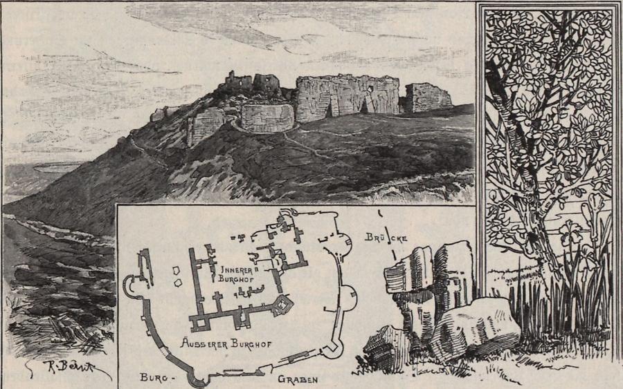 Illustration Fürstenschloss in Suczawa