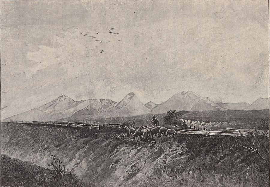 Illustration Tatra
