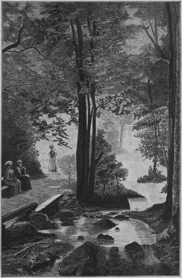 Illustration Wald bei Jankovac