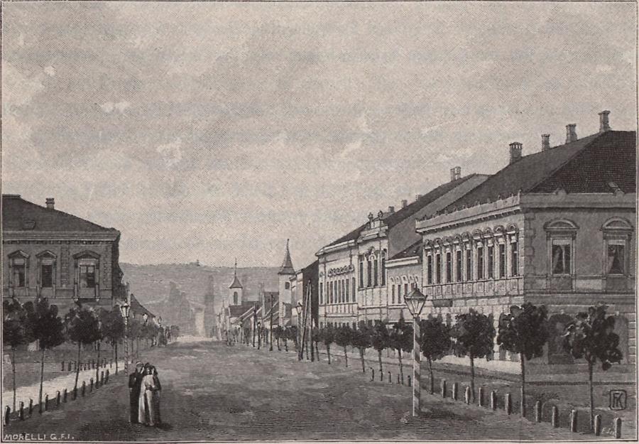 Illustration Straße in Daruvar