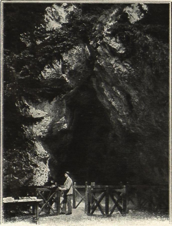 Illustration Eingang zur Adelsberger Grotte