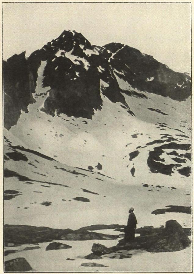 Illustration Aus der Wildnis der Hohen Tatra