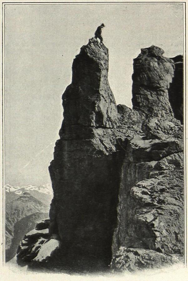 Illustration Am 5. Manndl. (Kalkkögel. Stubaier Alpen.) (Stubaier Alpen)