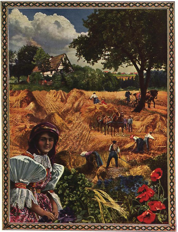 Illustration In der Hanna zur Zeit der Getreide-Ernte